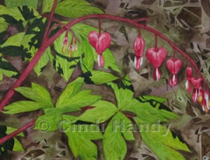 Bleeding Heart