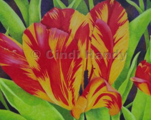 8" x 10" colored pencil painting - $200