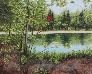 Mullin Pond in Summer