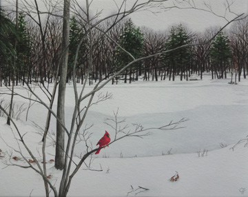 Mullin Pond in Winter