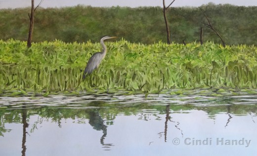 watching the sun set